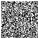 QR code with Puddle Maker contacts