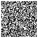 QR code with Professional Touch contacts