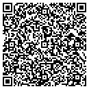 QR code with Crystal Floor Service contacts