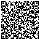 QR code with Pristine Clean contacts