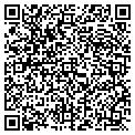 QR code with Stray Lights L L C contacts