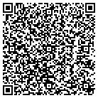 QR code with Pulaski Bank & Trust Co contacts