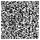 QR code with Badamy's Snow Plowing contacts