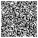 QR code with Cogent Investigation contacts