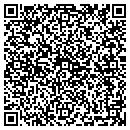 QR code with Progems USA Corp contacts