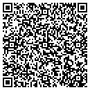 QR code with Printer Ink Source contacts