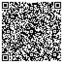 QR code with Practical Systems Inc contacts