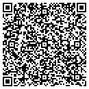QR code with Bohlin Instruments Inc contacts