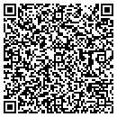 QR code with Prg Lighting contacts