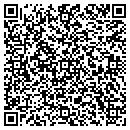 QR code with Pyongsan America Inc contacts