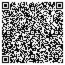 QR code with Bitarmor Systems Inc contacts