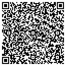 QR code with Pulseworks LLC contacts