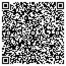 QR code with Cyclone Home Systems contacts