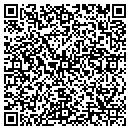 QR code with Publicis Groupe Nyc contacts