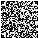 QR code with Carver Geologic contacts