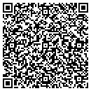 QR code with Consulting Geologist contacts