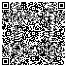 QR code with Pela Geo Environmental contacts