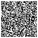 QR code with Progressive Seismic contacts