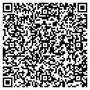 QR code with Psybar L L C contacts