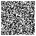QR code with Vdtg contacts