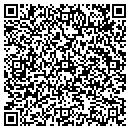 QR code with Pts Sales Inc contacts