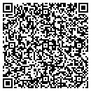 QR code with Put It In Writing LLC contacts