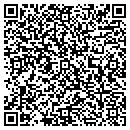 QR code with Professionals contacts