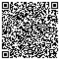 QR code with Nastar contacts