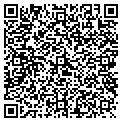 QR code with Dire Satellite Tv contacts