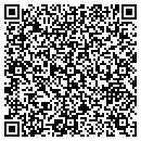 QR code with Professional Satellite contacts