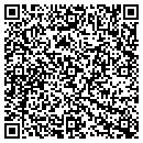 QR code with Convergence Systems contacts