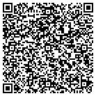 QR code with Pulse Communications LLC contacts