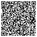 QR code with Vesystems LLC contacts