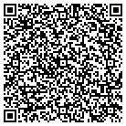 QR code with Pulse Telecom LLC contacts