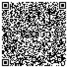 QR code with Pulse Communications Inc contacts