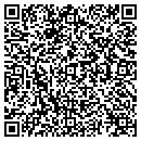 QR code with Clinton Tower Service contacts