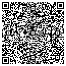 QR code with Problem Solver contacts