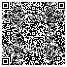 QR code with Pulse Electronics Corp contacts