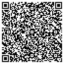 QR code with Public Library Systems contacts