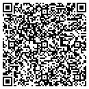 QR code with Fei-Zyfer Inc contacts