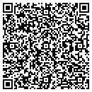 QR code with Project Snap contacts