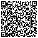 QR code with Kvle contacts