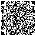 QR code with Paging contacts