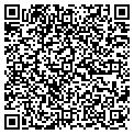 QR code with Paging contacts