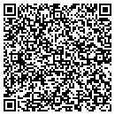 QR code with Baldwin Telecom Inc contacts