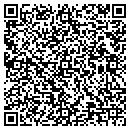 QR code with Premier Electric Co contacts