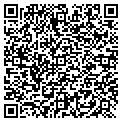 QR code with S W Virginia Telecom contacts