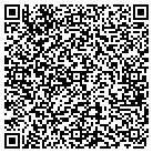 QR code with Professional Micro System contacts