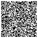 QR code with City Parcel Delivery Inc contacts