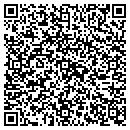 QR code with Carriere Stumm Inc contacts